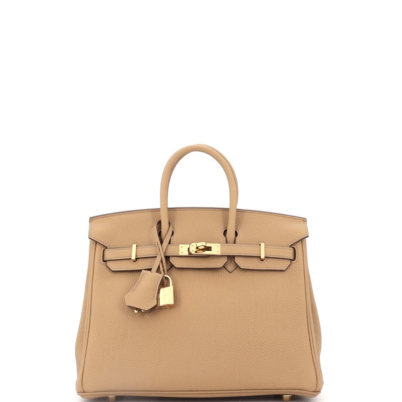 Birkin Handbag Chai Togo with Gold Hardware 25