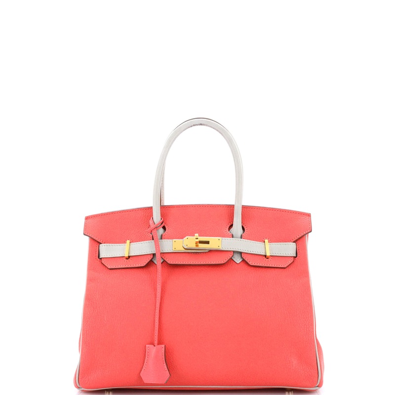Birkin Handbag Bicolor Chevre Mysore with Gold Hardware 30
