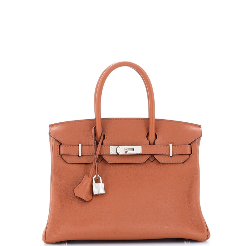 Birkin Handbag Cuivre Novillo with Palladium Hardware 30