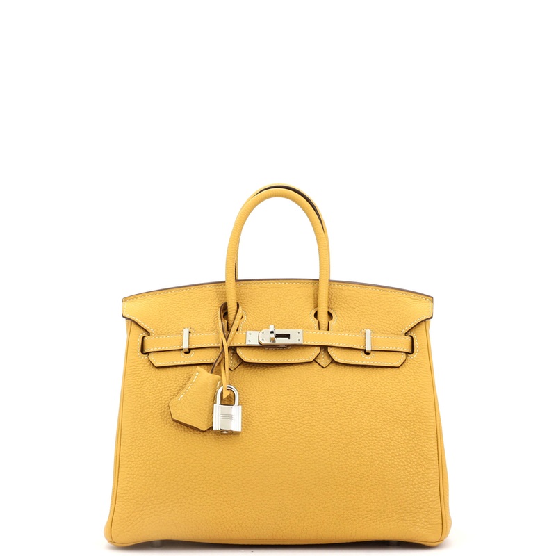 Birkin Handbag Curry Togo with Palladium Hardware 25