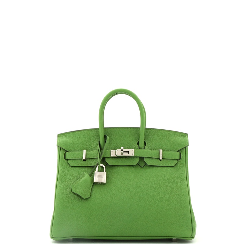 Birkin Handbag Vert Yucca Togo with Palladium Hardware 25