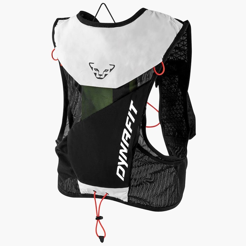 Vert 6 Dna