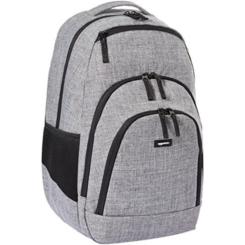 Amazonbasics Campus Backpack, Grey