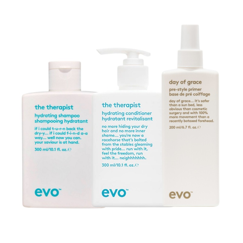 Evo The Therapist