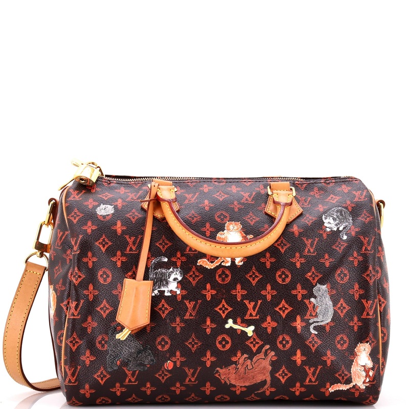 Speedy Bandouliere Bag Limited Edition Grace Coddington Catogram Canvas 30