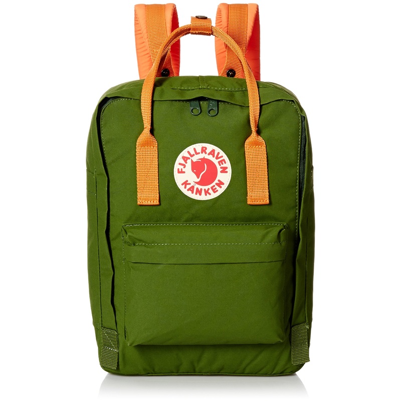 Fjallraven Kanken 15" Backpack
