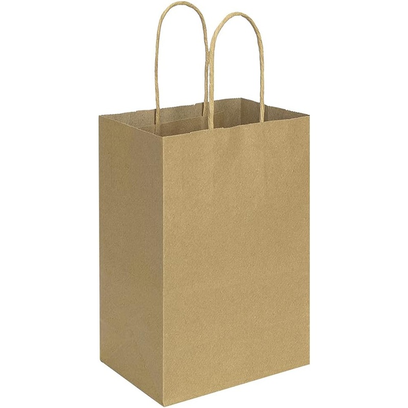 Bagmad 100 Pack 5.25X3.25X8 Inch Brown Small Paper Bags with Handles Bulk, Gift Paper Bags, Kraft Birthday Party Favors Grocery Retail Shopping Takeouts Business Craft Sacks (Plain Natural 100Pcs)