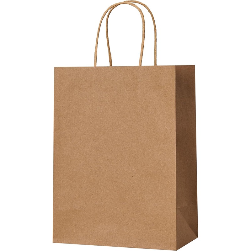 METAPRINT 100 Pack 8X4.5X10.8 Inch Medium Paper Gift Bags with Handles Bulk, Brown Kraft Paper Bags for Grocery Shopping Retail, Birthday, Party Favors, Wedding